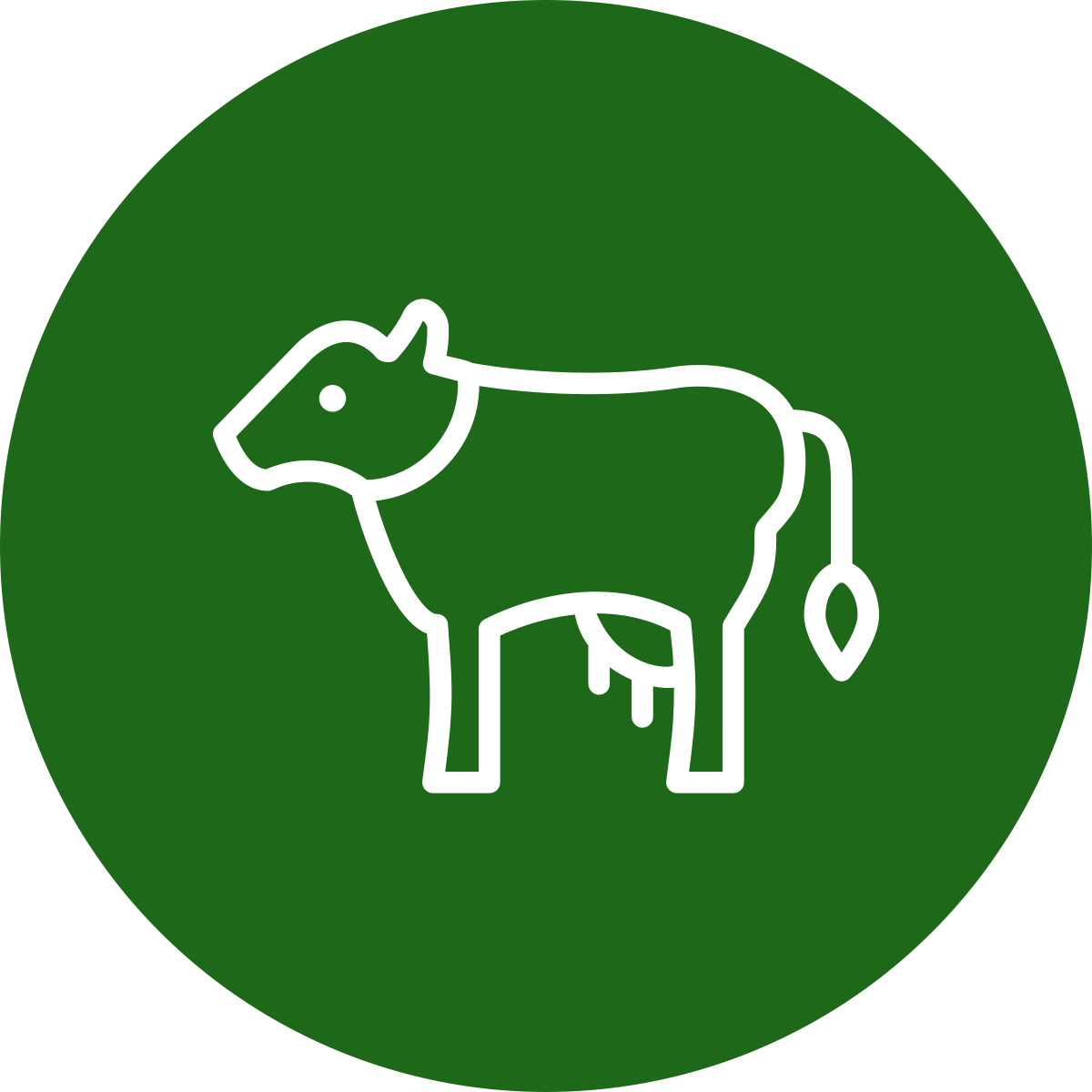 livestock-value-chain